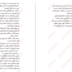 دانلود پی دی اف کتاب عکس فوری برندون سندرسون