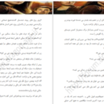 دانلود پی دی اف کتاب میزبان استفنی مه‌یر