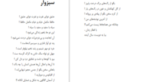 دانلود پی دی اف کتاب شاعر ژولیده کاوه نادی حیدری