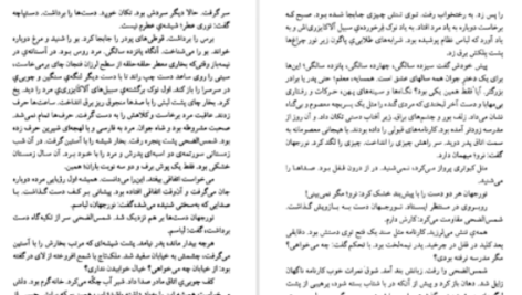 دانلود پی دی اف کتاب مهر گیاه امیرحسن چهل‌تن