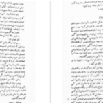 دانلود پی دی اف کتاب بالزاک و خیاط کوچولوی چینی دای سیجی