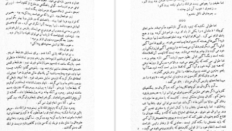 دانلود پی دی اف کتاب بالزاک و خیاط کوچولوی چینی دای سیجی