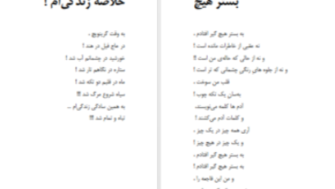 دانلود پی دی اف کتاب شاعر ژولیده کاوه نادی حیدری
