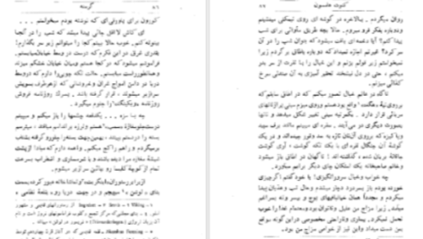 دانلود پی دی اف کتاب گرسنه کنوت هامسون