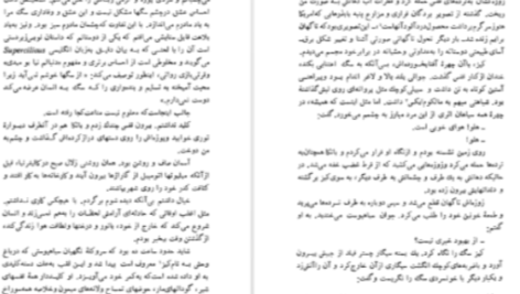 دانلود پی دی اف کتاب سگ سفید رومن گاری