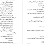 دانلود پی دی اف کتاب تربیت اروپایی رومن گاری