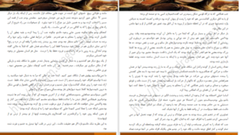 دانلود پی دی اف کتاب میزبان استفنی مه‌یر