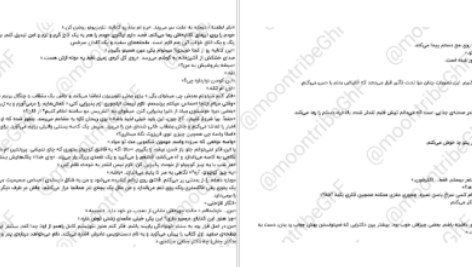 دانلود پی دی اف کتاب نفرت بازی سالی تورن