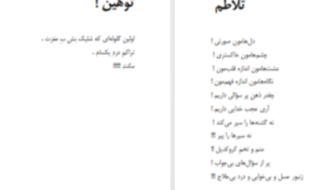 دانلود پی دی اف کتاب شاعر ژولیده کاوه نادی حیدری