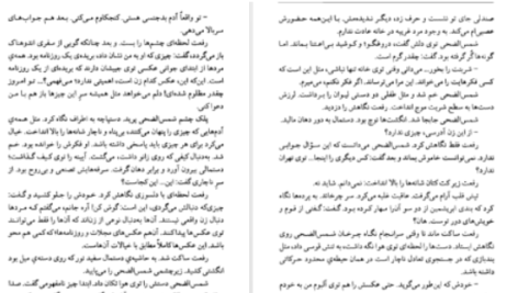 دانلود پی دی اف کتاب مهر گیاه امیرحسن چهل‌تن