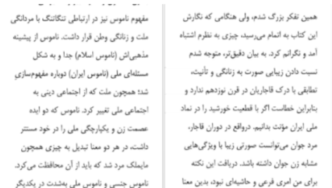 دانلود پی دی اف کتاب زنان سیبیلو و مردان بی ریش افسانه نجم آبادی