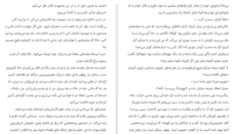 دانلود پی دی اف کتاب شکار و تاریکی ادوگاوا رانپو