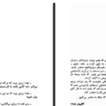 دانلود پی دی اف کتاب مردی با کبوتر رومن گاری