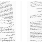 دانلود پی دی اف کتاب بالزاک و خیاط کوچولوی چینی دای سیجی