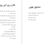 دانلود پی دی اف کتاب شاعر ژولیده کاوه نادی حیدری