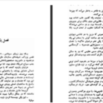 دانلود پی دی اف کتاب مردی با کبوتر رومن گاری