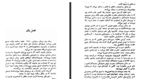 دانلود پی دی اف کتاب مردی با کبوتر رومن گاری